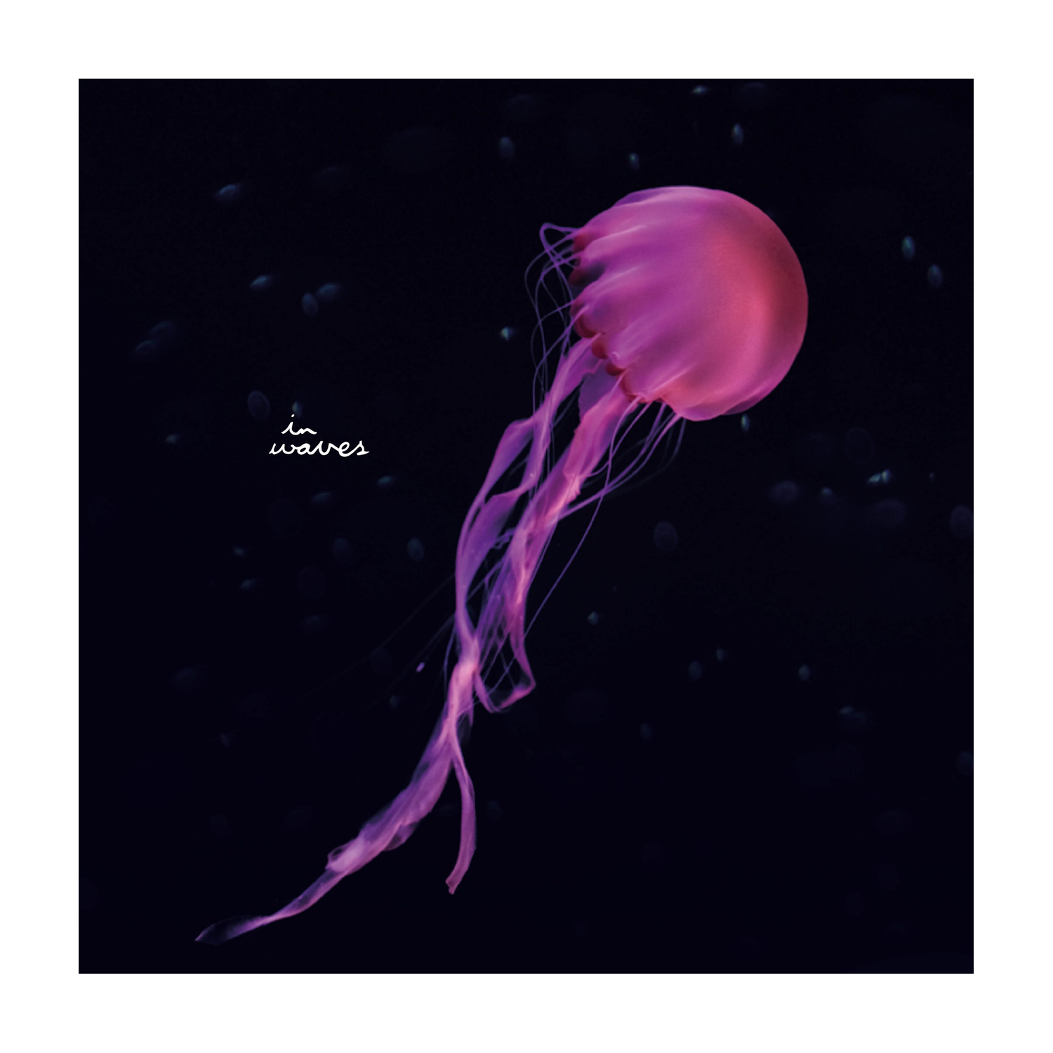 Flowers on Monday - Horizons