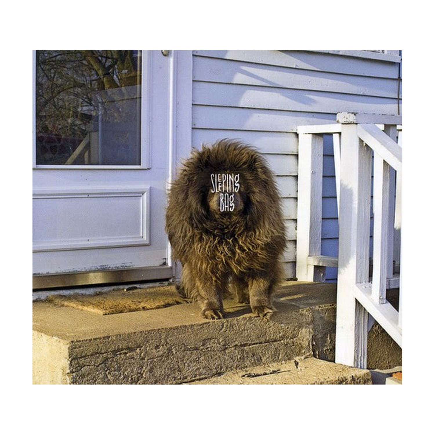 Sleeping Bag (CD)