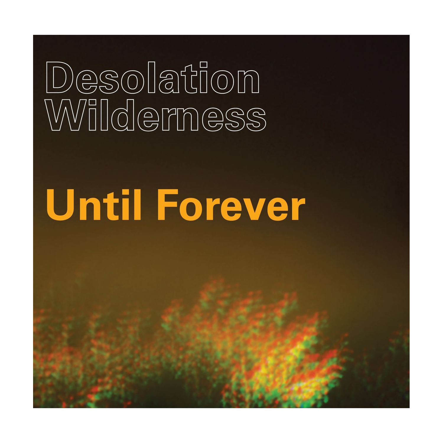 Desolation Wilderness - Until Forever (Limited Edition)