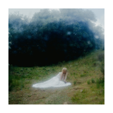 Wisp - If Not Winter