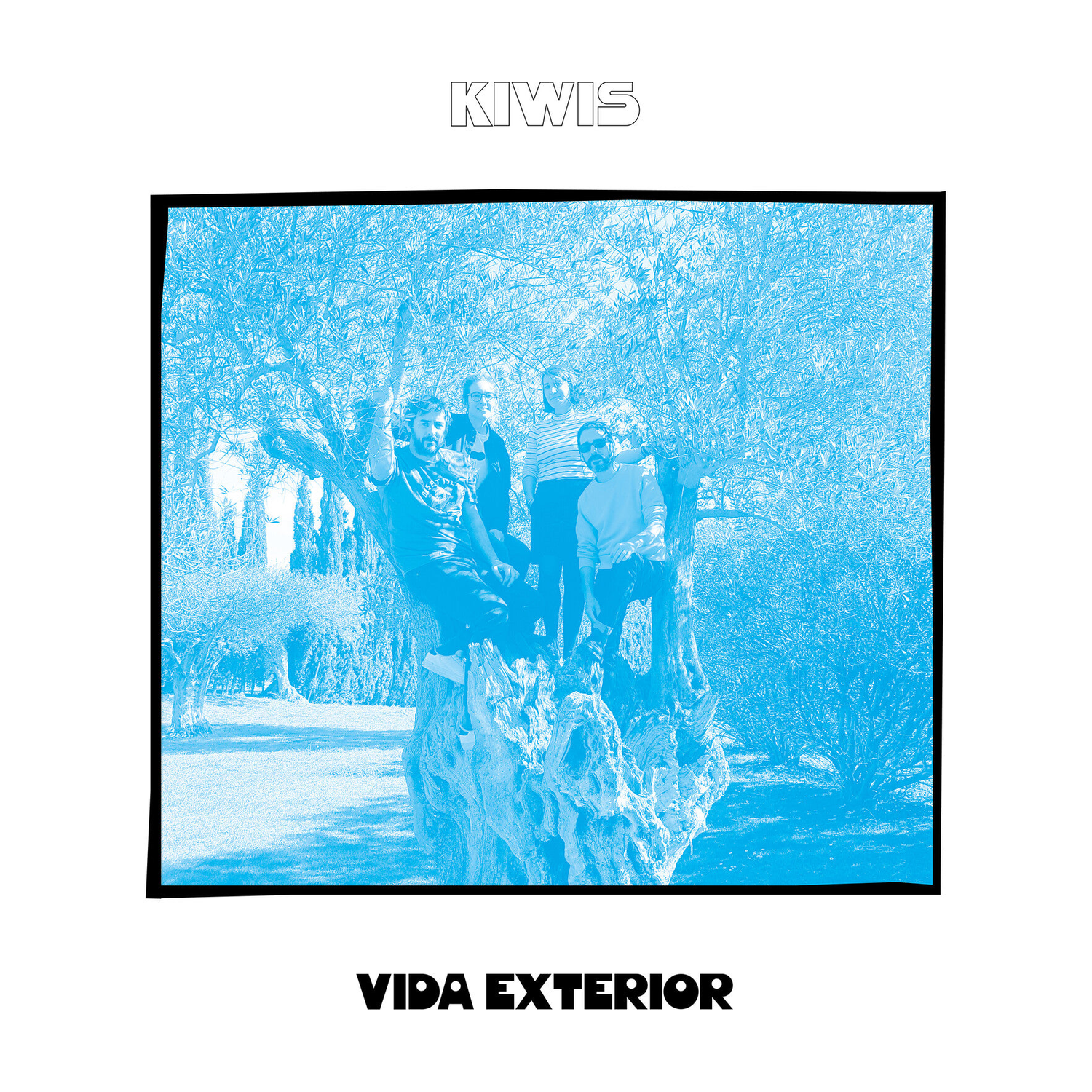 Kiwis - Vida Exterior