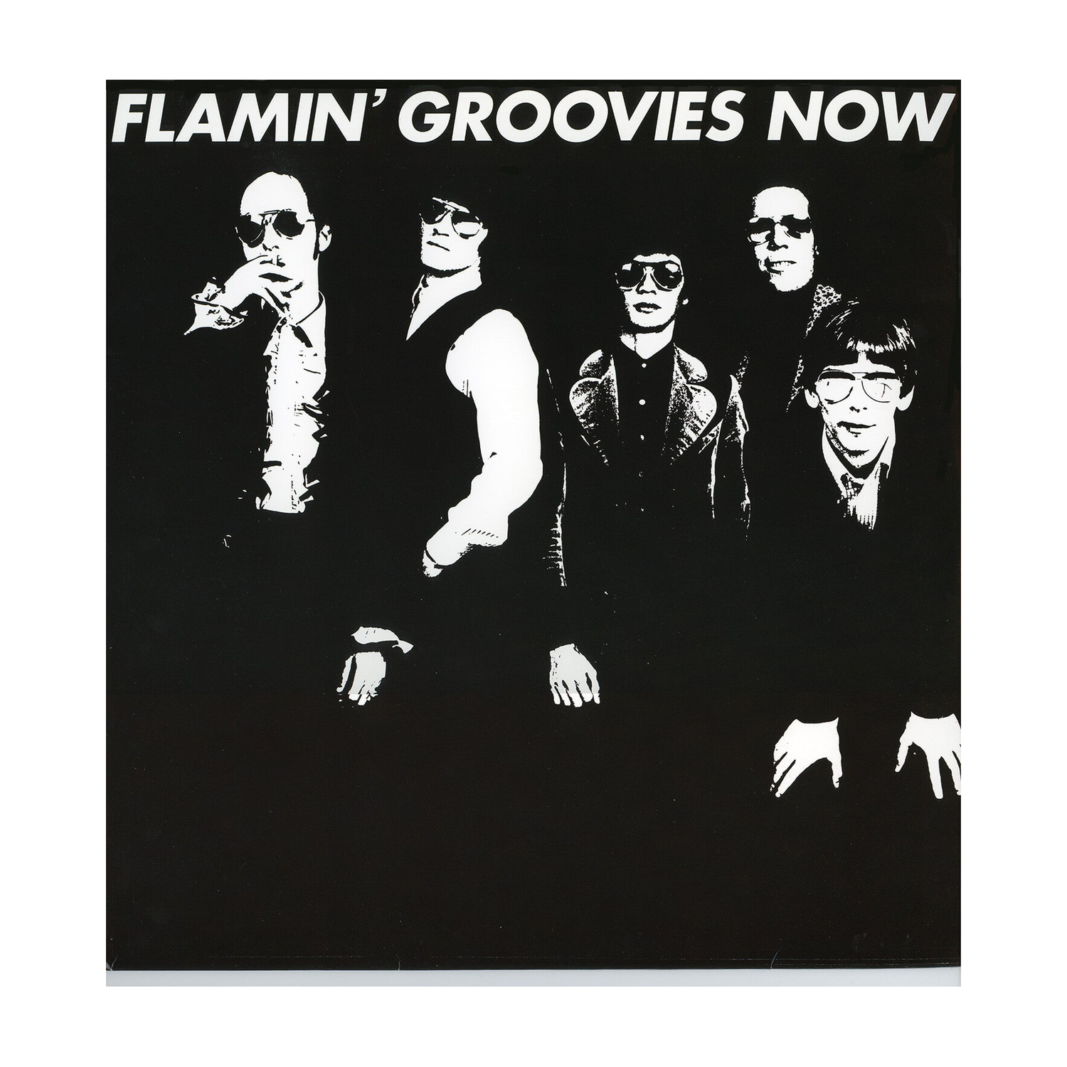 Flamin' Groovies - Now (CD)
