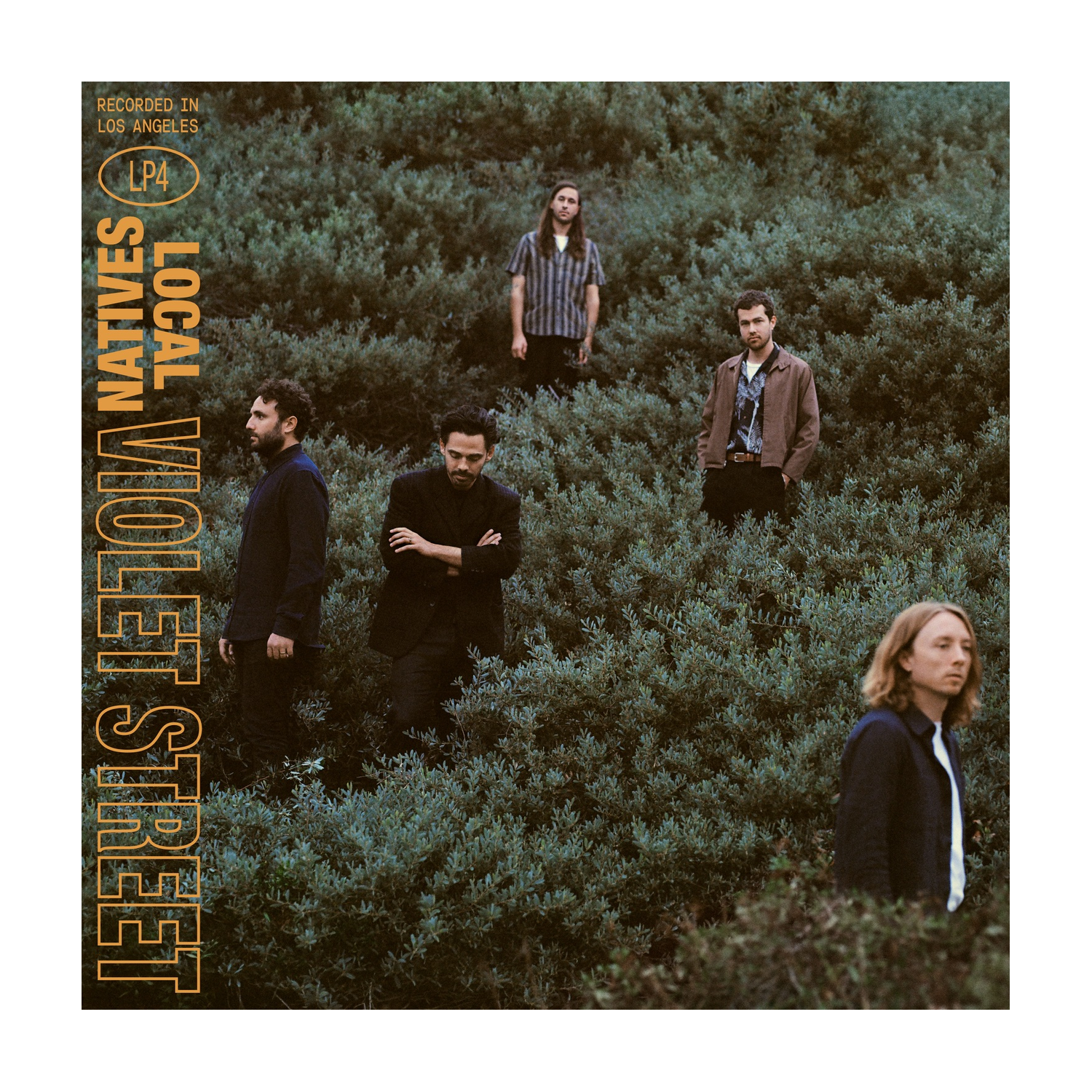 Local Natives - Violet Street