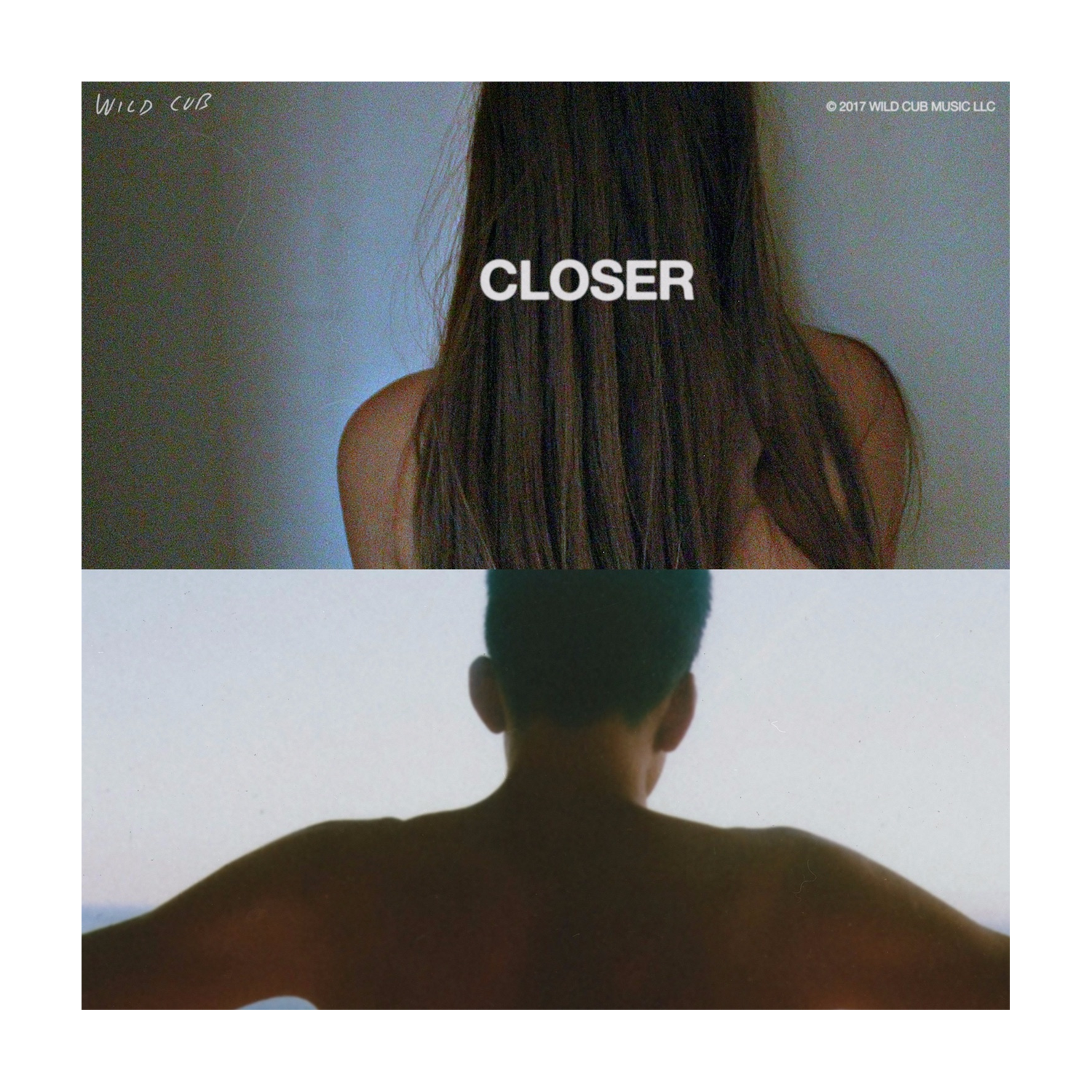Wild Cub - Closer