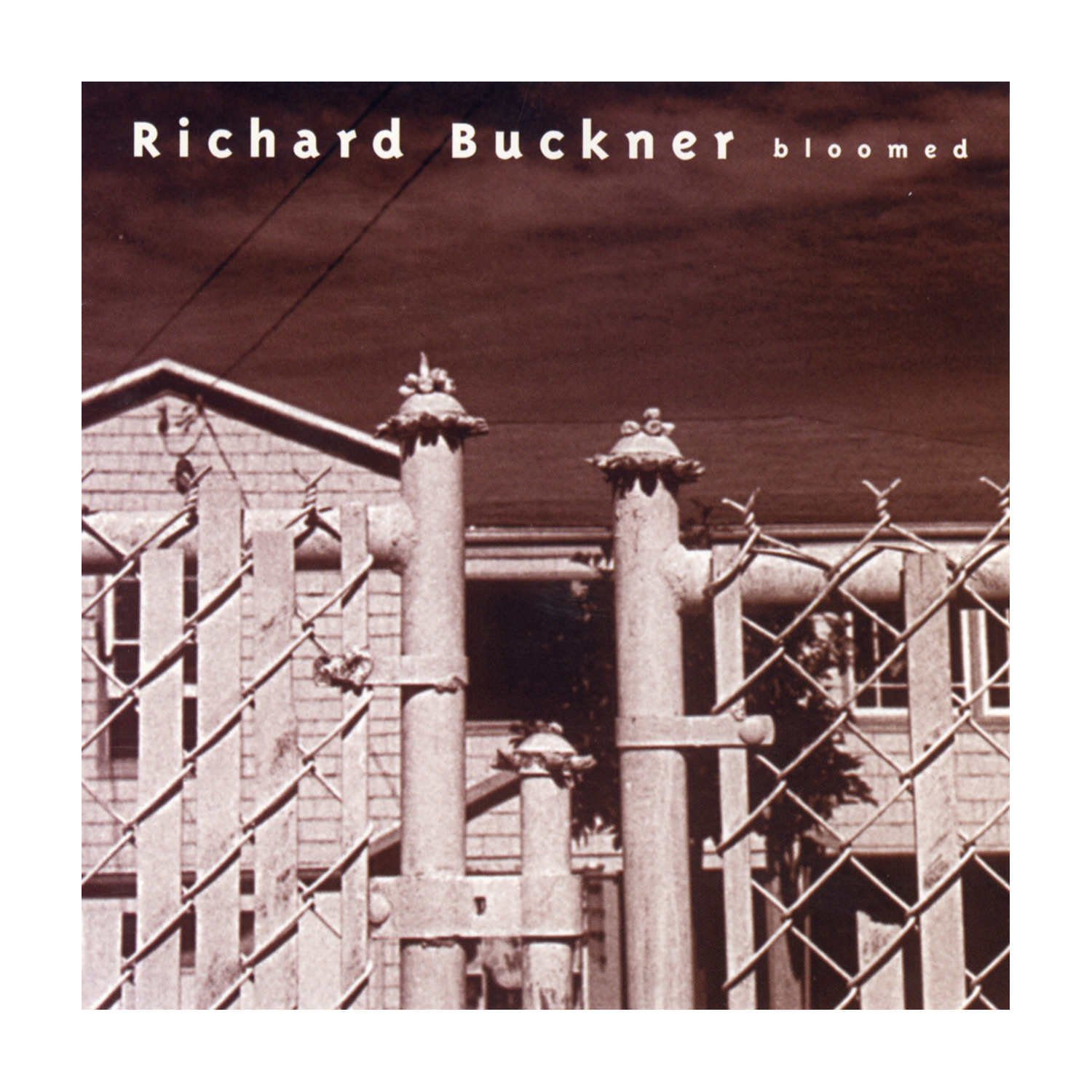 Richard Buckner - Bloomed [Reissue] [Bonus CD] 3xLP (Reissue)