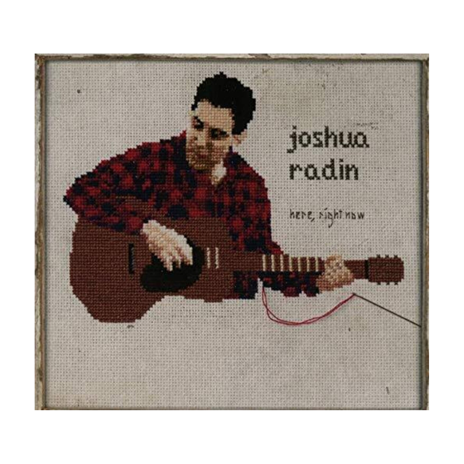 Joshua Radin - Here Right Now (CD)