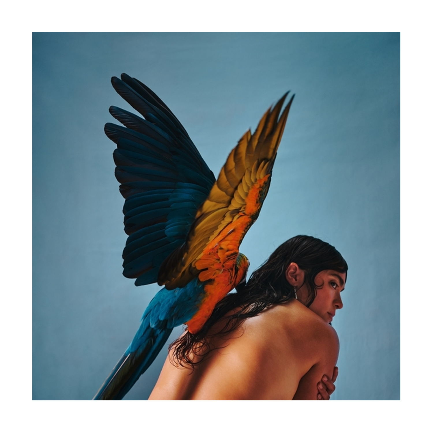 Reyna Tropical - Malegria