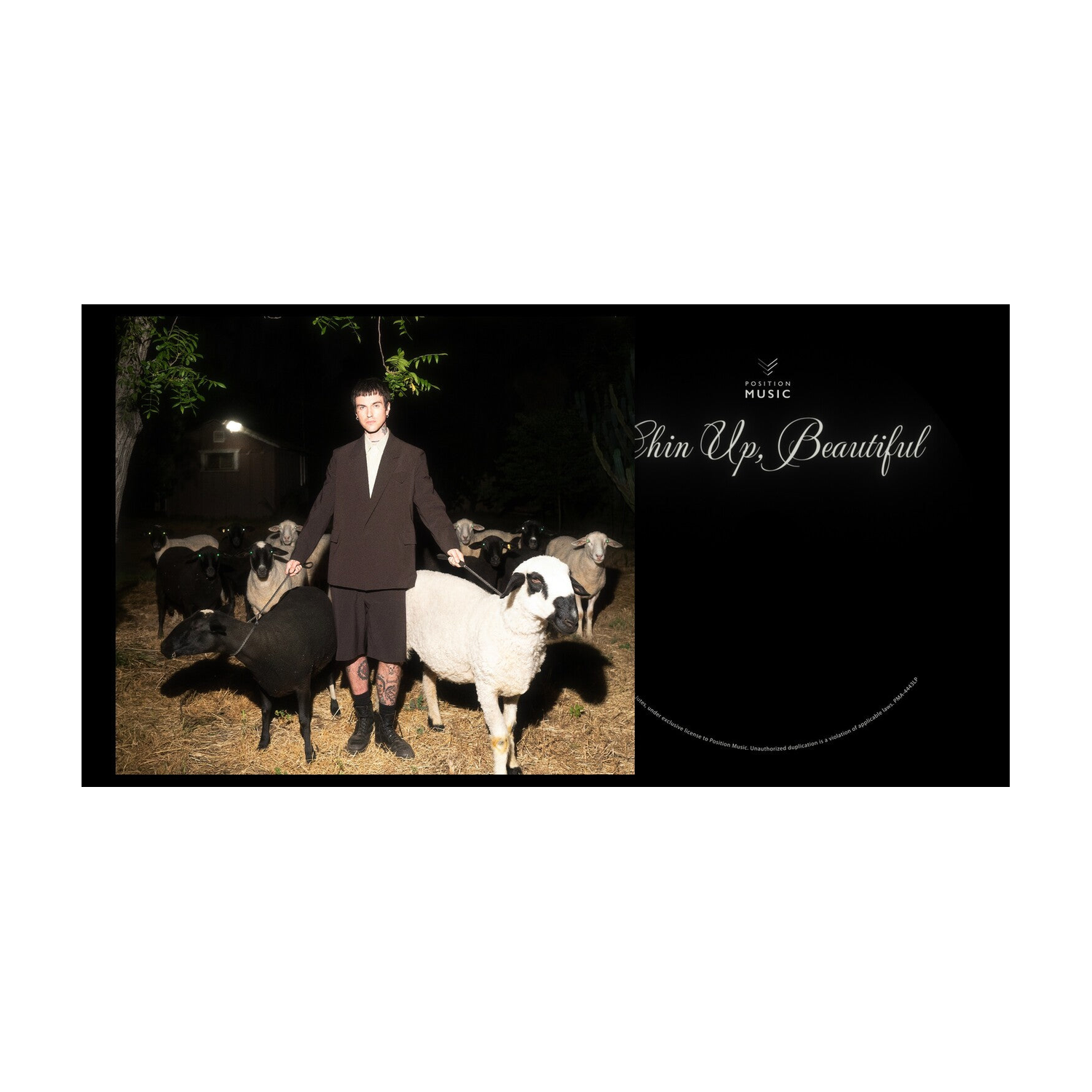 Jutes - Chin Up, Beautiful (CD)