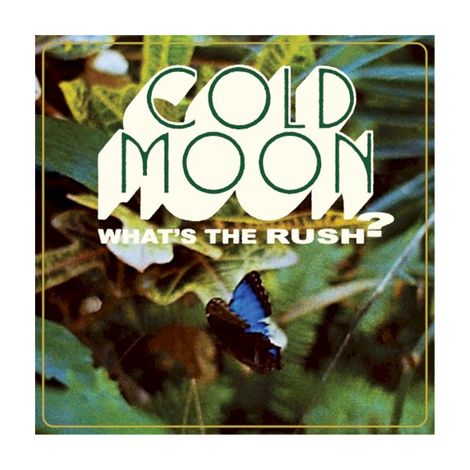Cold Moon - What's The Rush