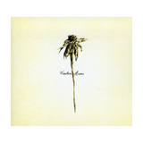 Patrick Watson - Wooden Arms (CD)