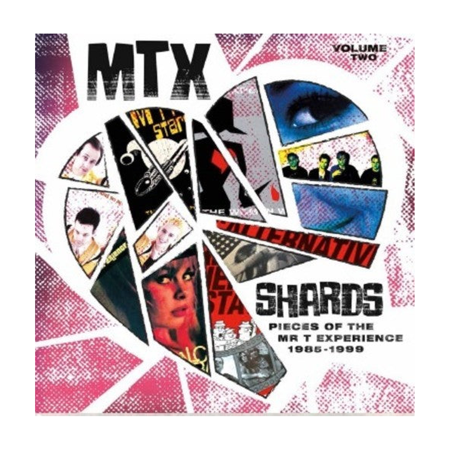 Mr T Experience - Shards Vol. 2 (Red Vinyl)