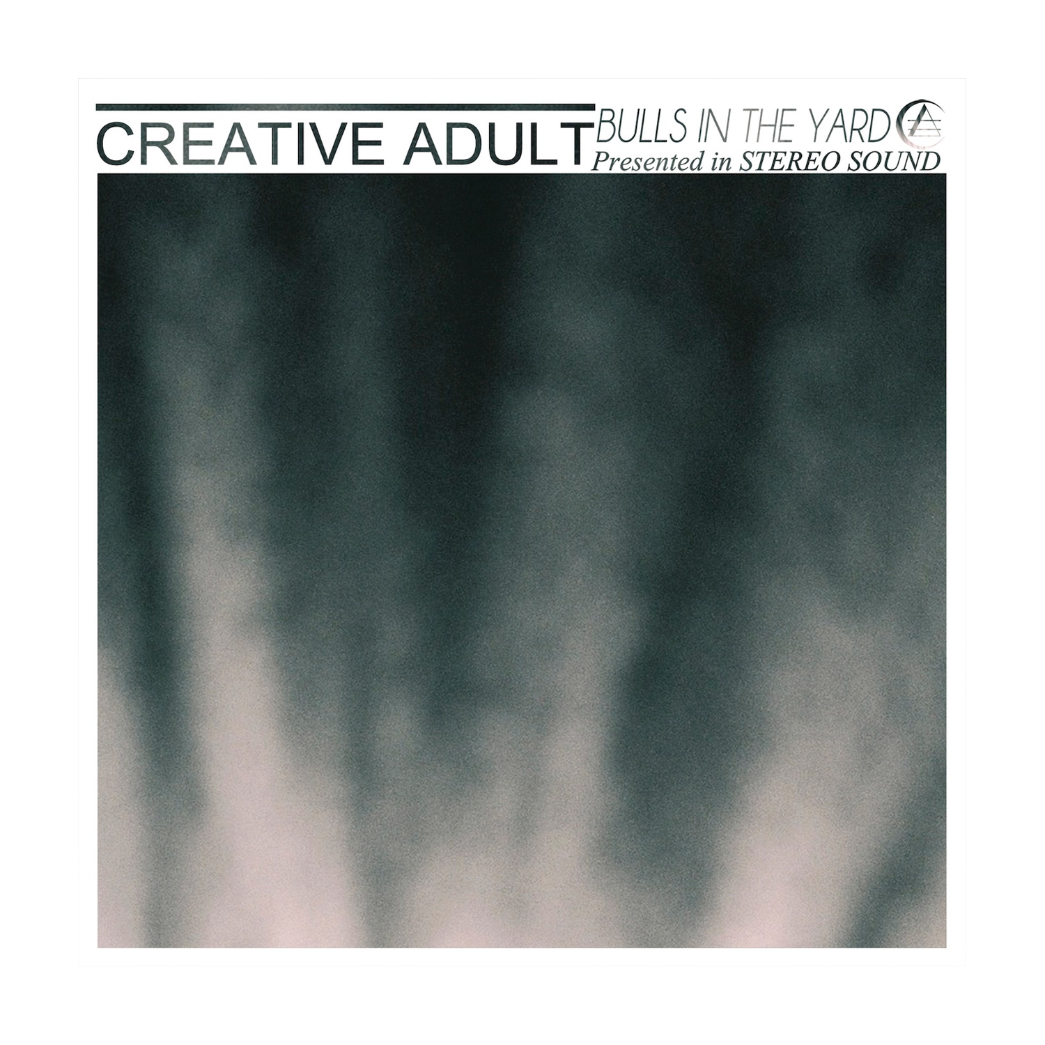 Creative Adult - Bulls in the Yard