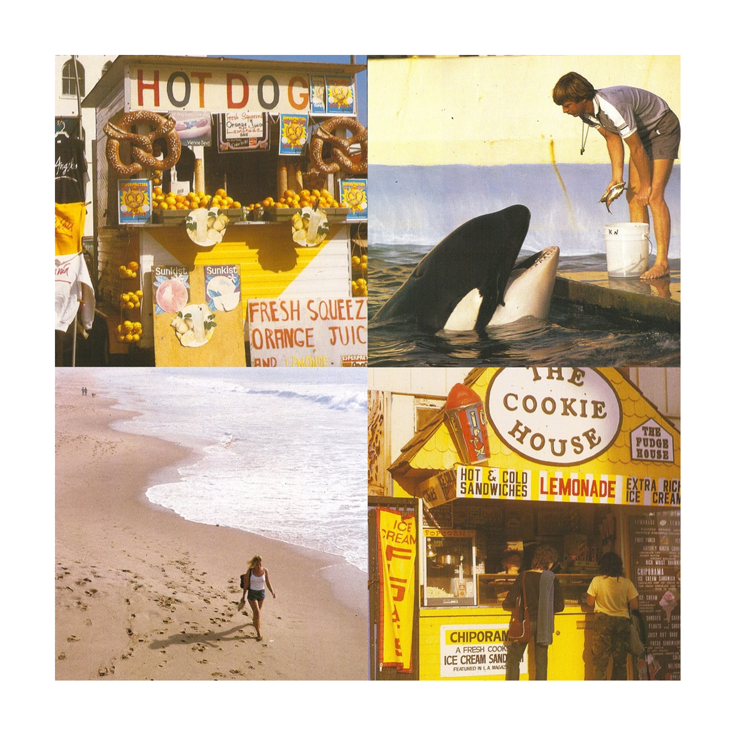 Best Coast - Something in the Way