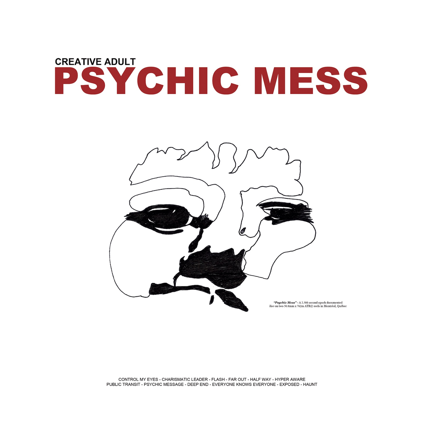 Creative Adult - Psychic Mess