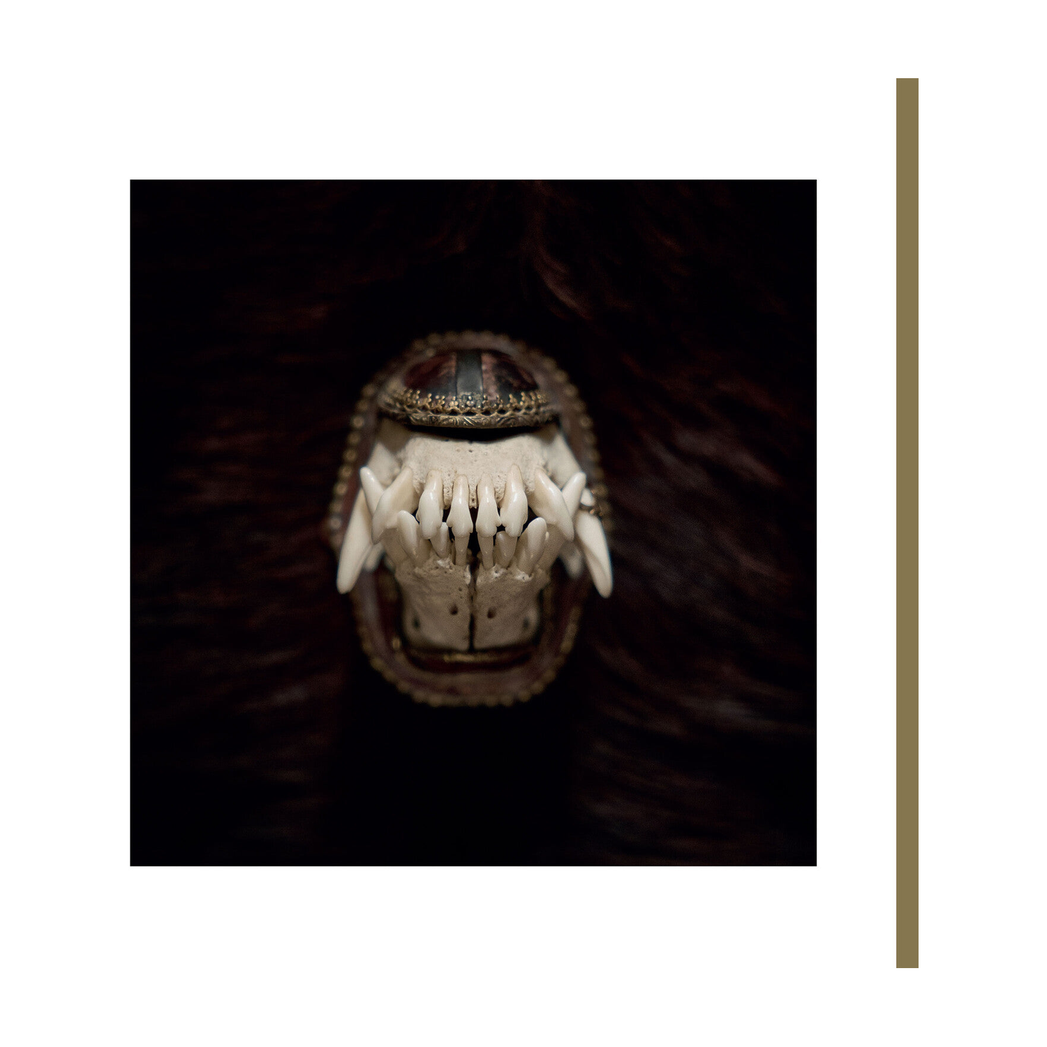 10275571335463.png