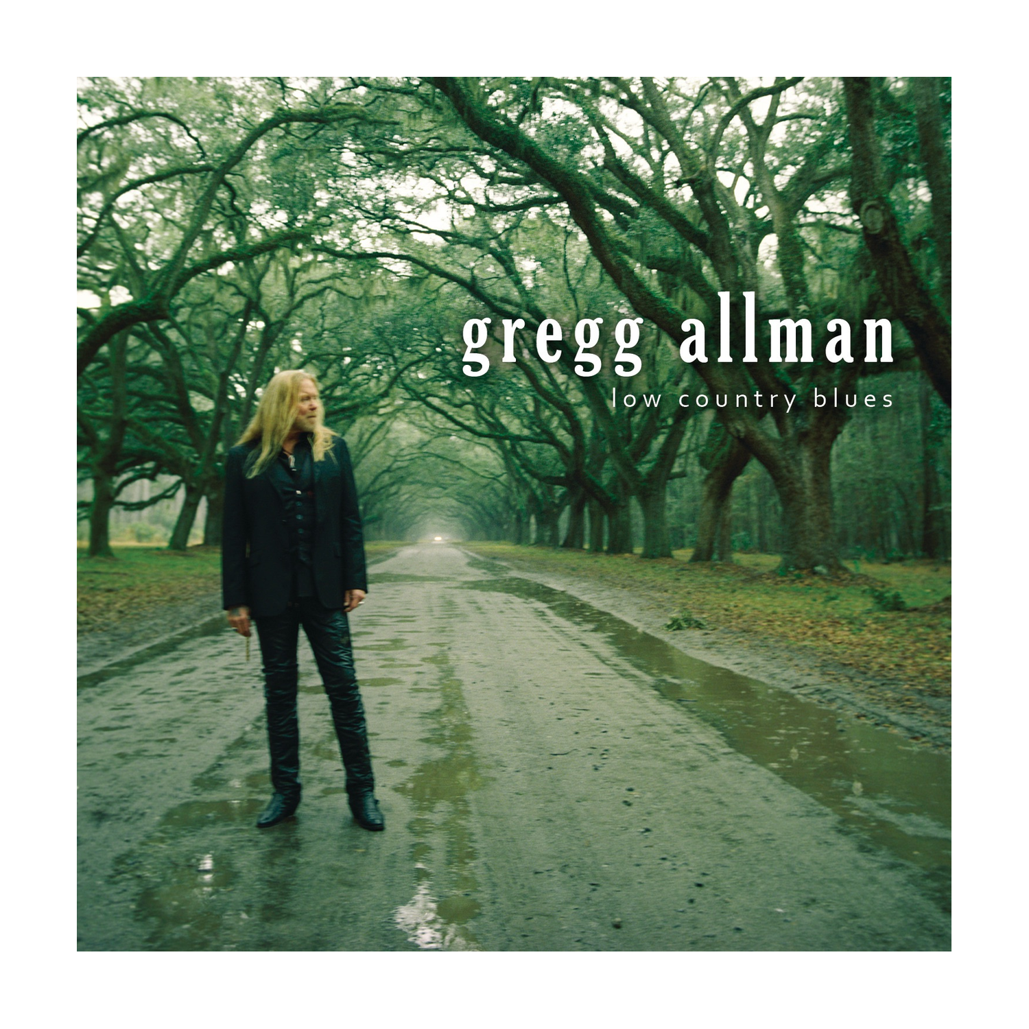 Gregg Allman - Low Country Blues 2xLP