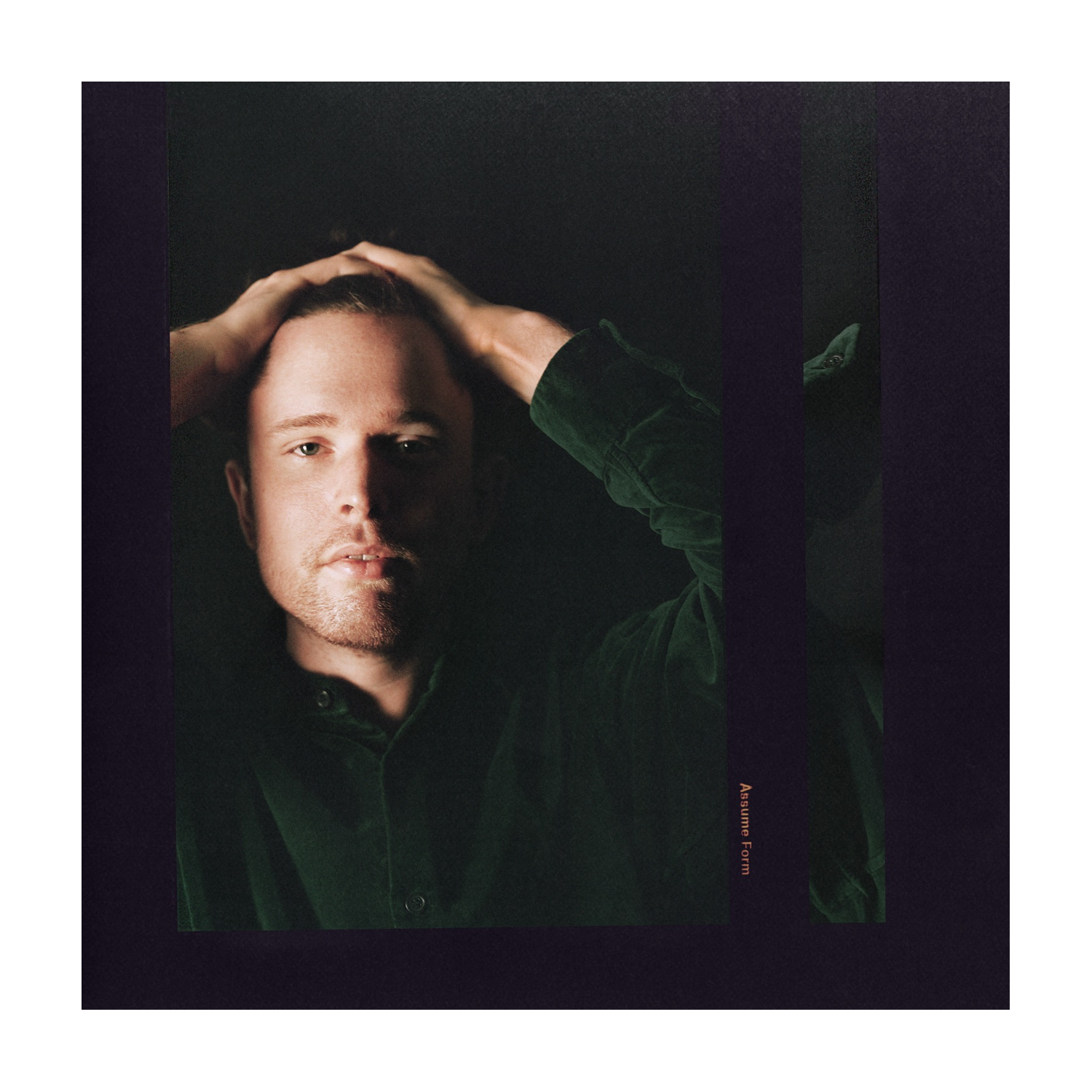 James Blake - Assume Form 2xLP