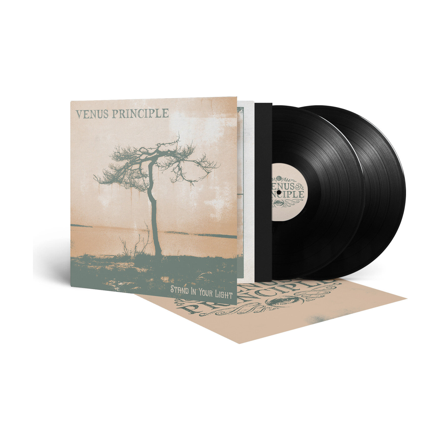 Venus Principle - Stand In Your Light