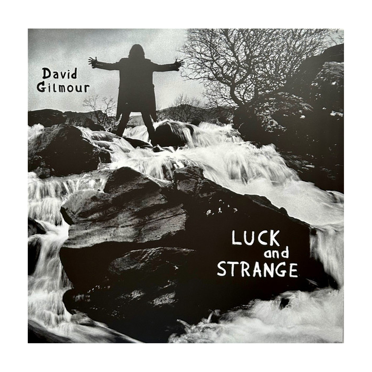 David Gilmour - Luck & Strange (Silver Vinyl)