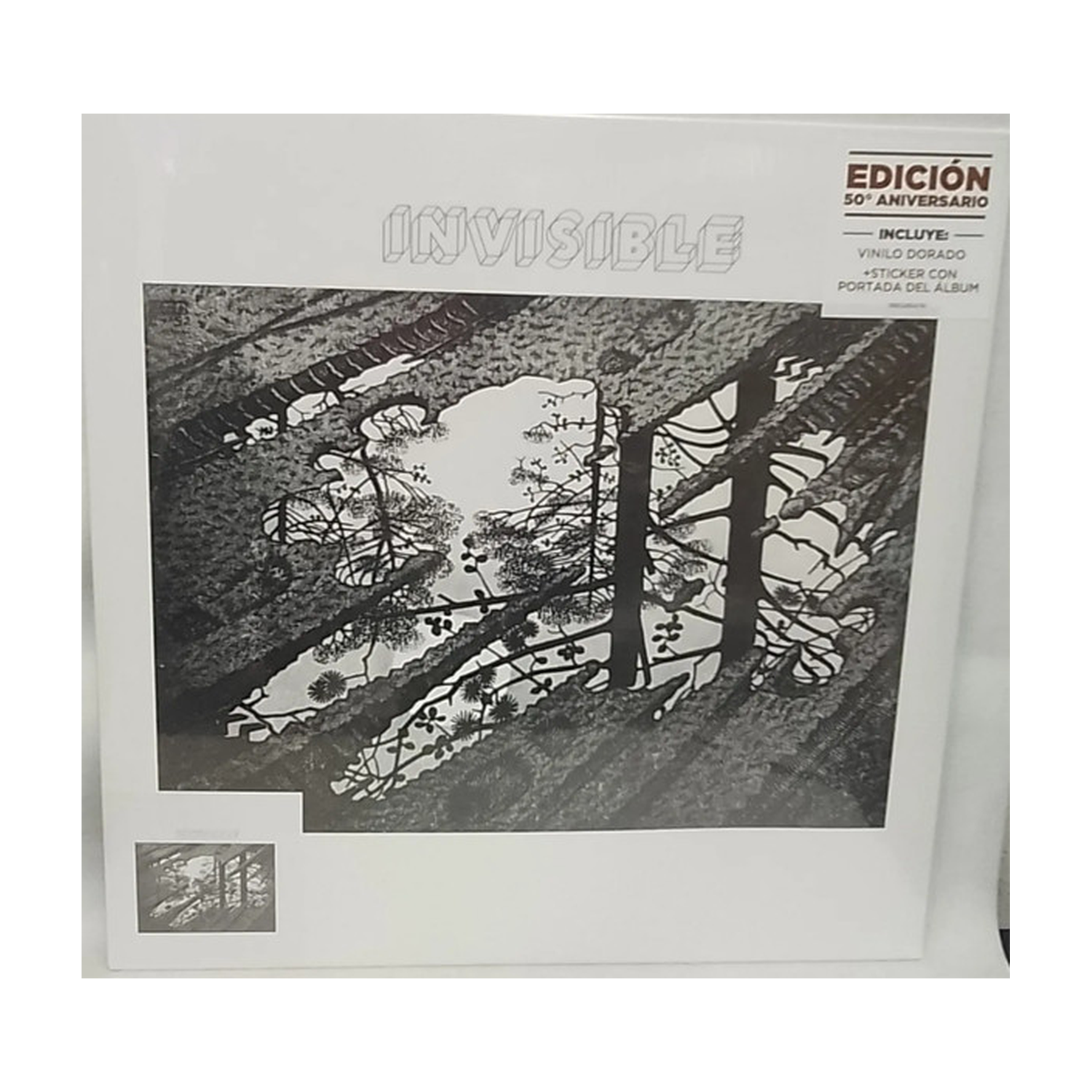 Invisible (50 Ados)