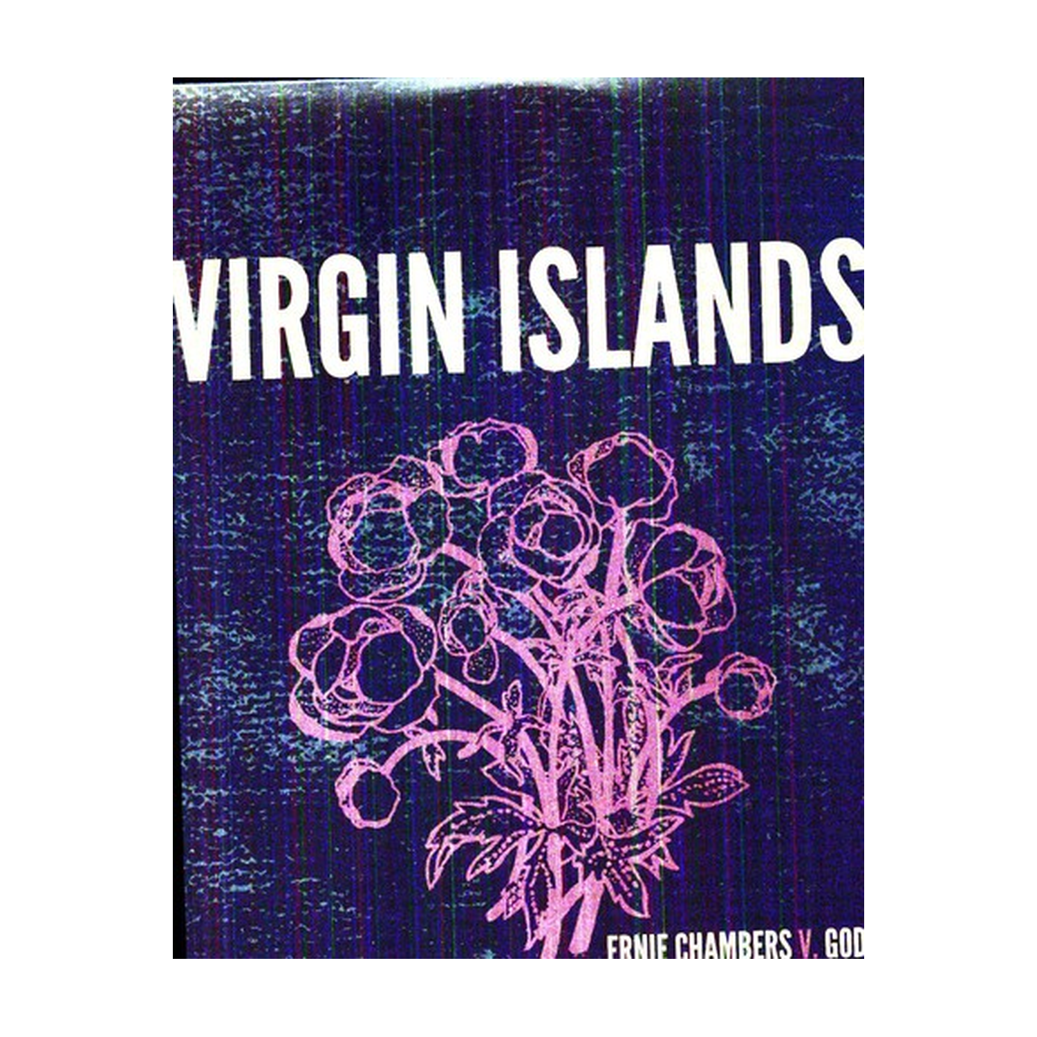 Virgin Islands - Ernie Chambers v. God