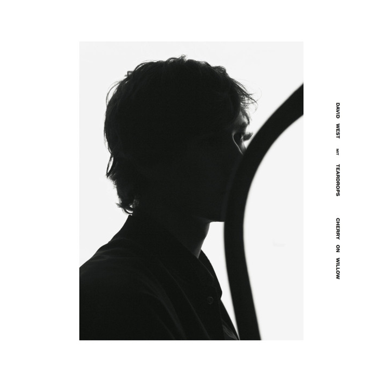 David West / Teardrops - Cherry On Willow