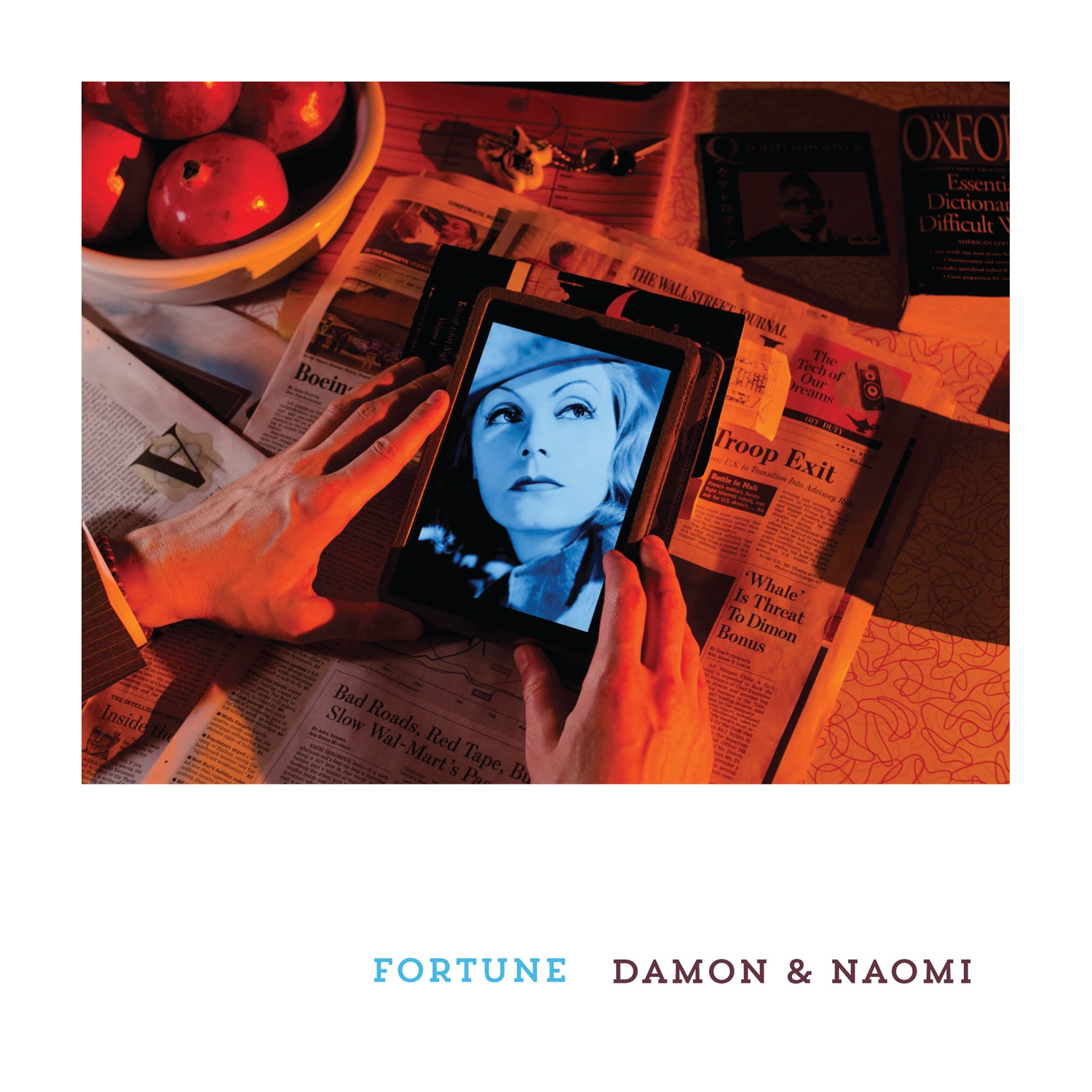 Damon & Naomi - Fortune (CD)