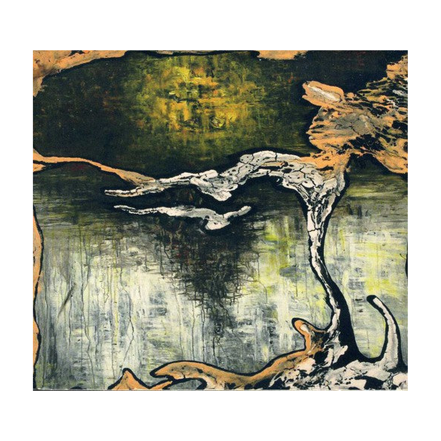 Julian Lynch - Terra (CD)