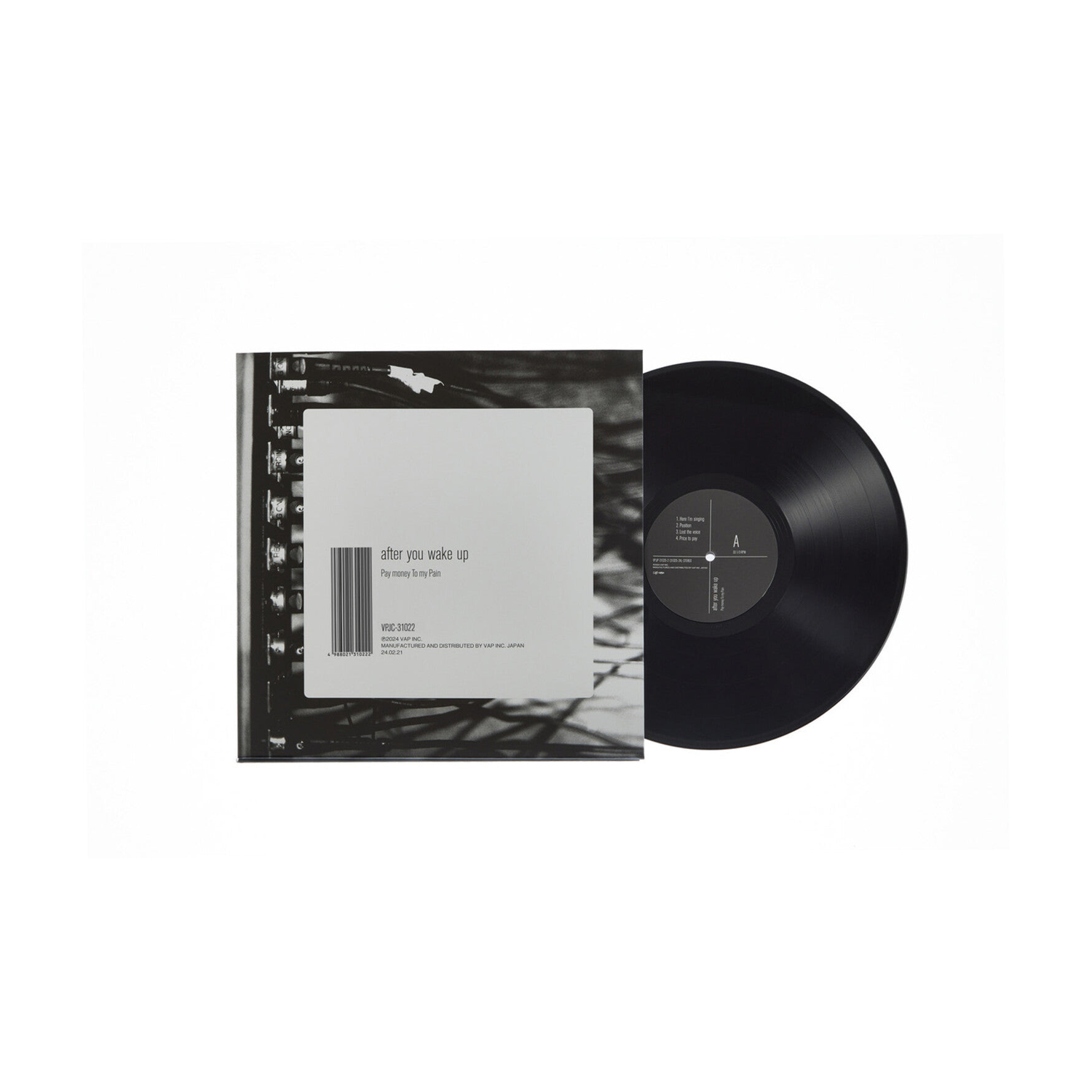 Pay Money to My Pain - After You Wake Up (Limited Edition)