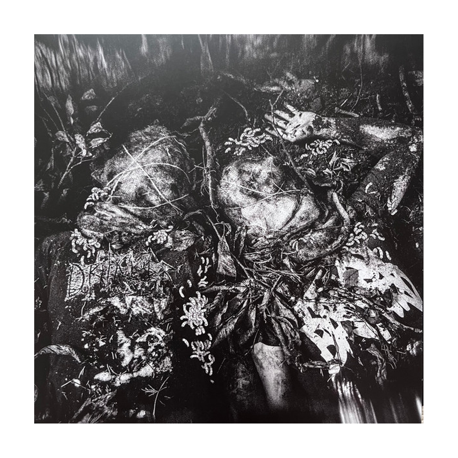 Grup Nap - God Pile