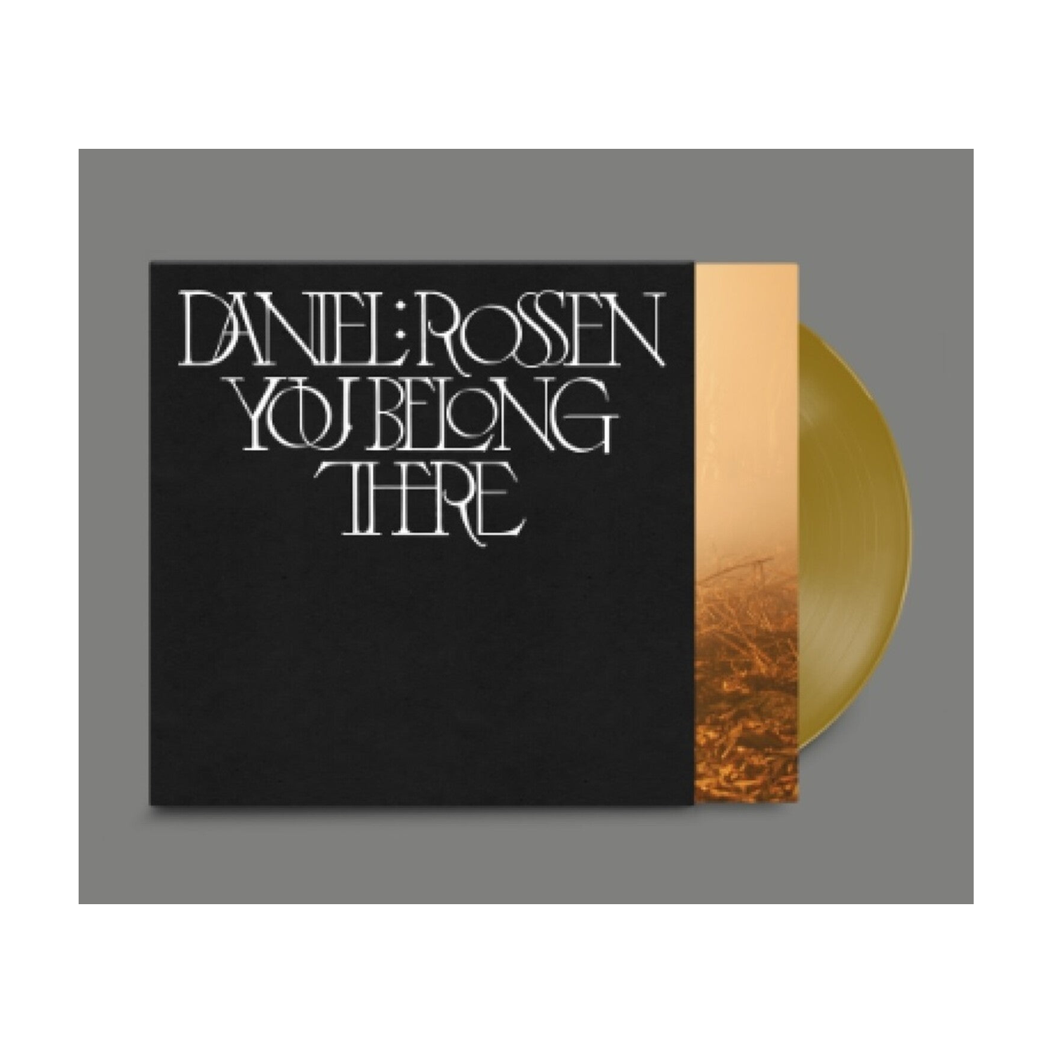Daniel Rossen - You Belong There (Gold Vinyl)