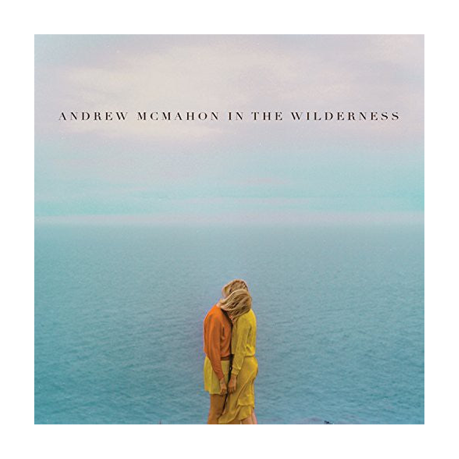 Andrew McMahon in the Wilderness
