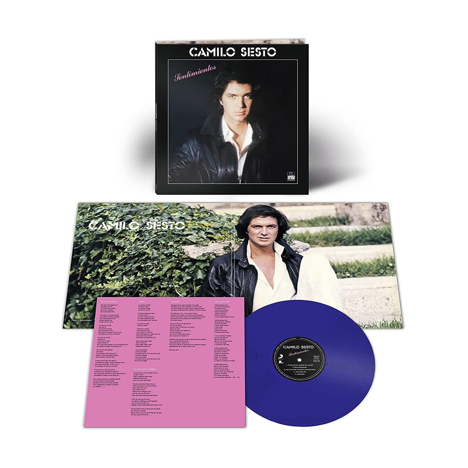 Camilo Sesto - Sentimientos