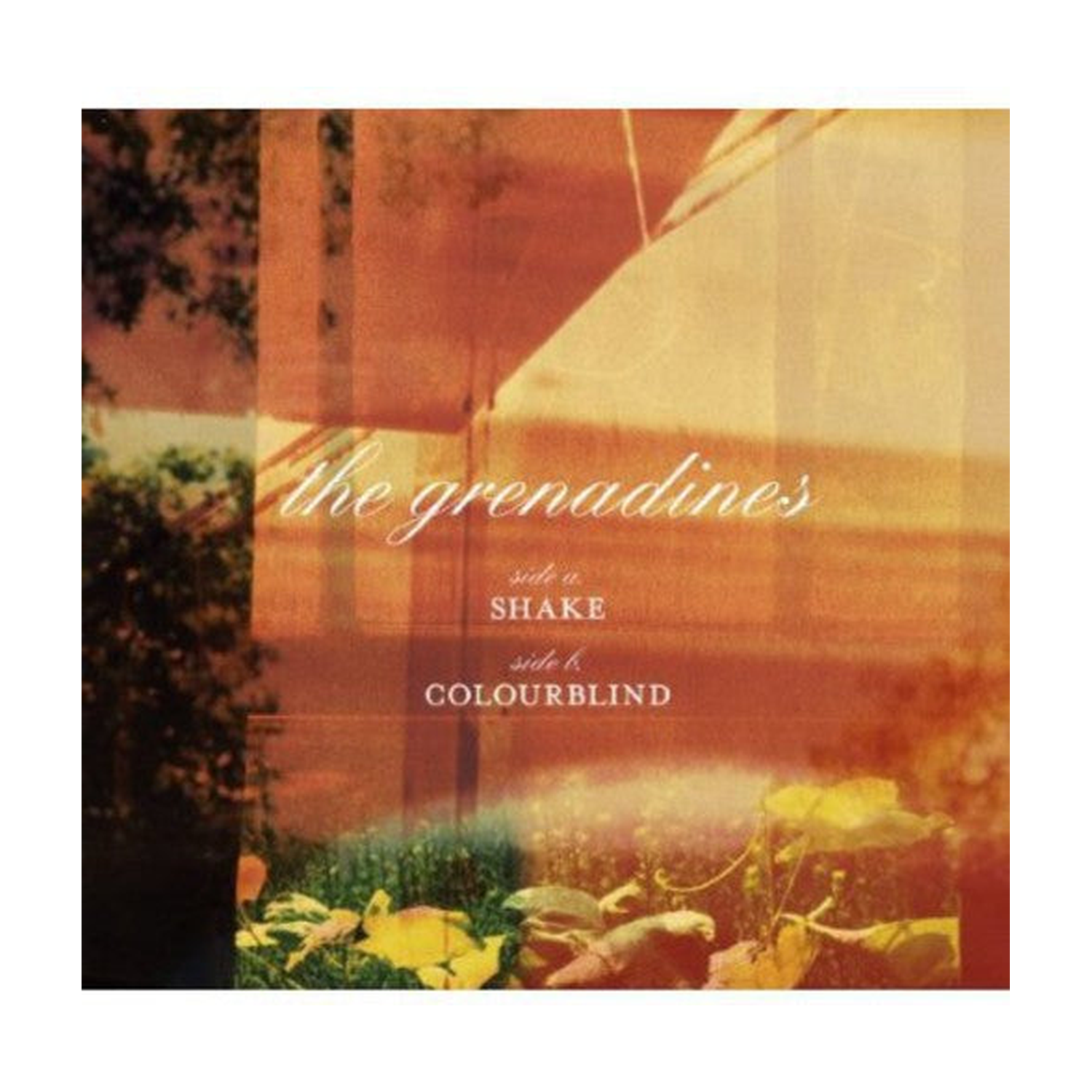 Grenadines - Shake/Colorblind
