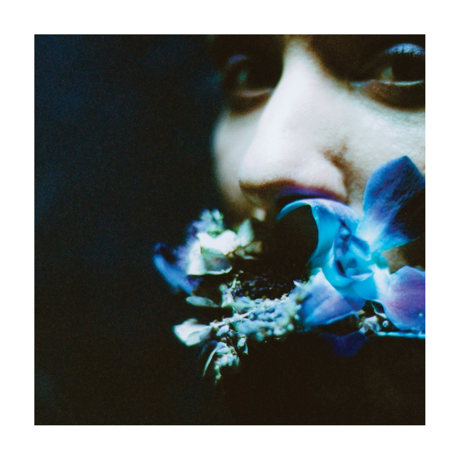 Circuit des Yeux - Reaching for Indigo