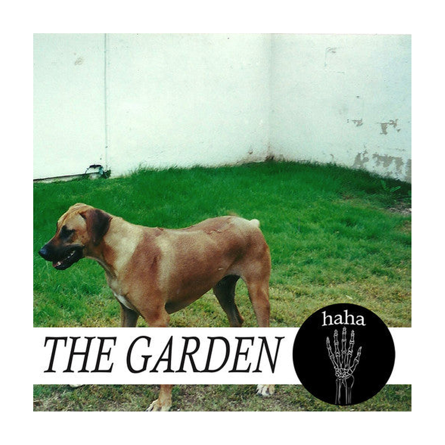 Garden - haha