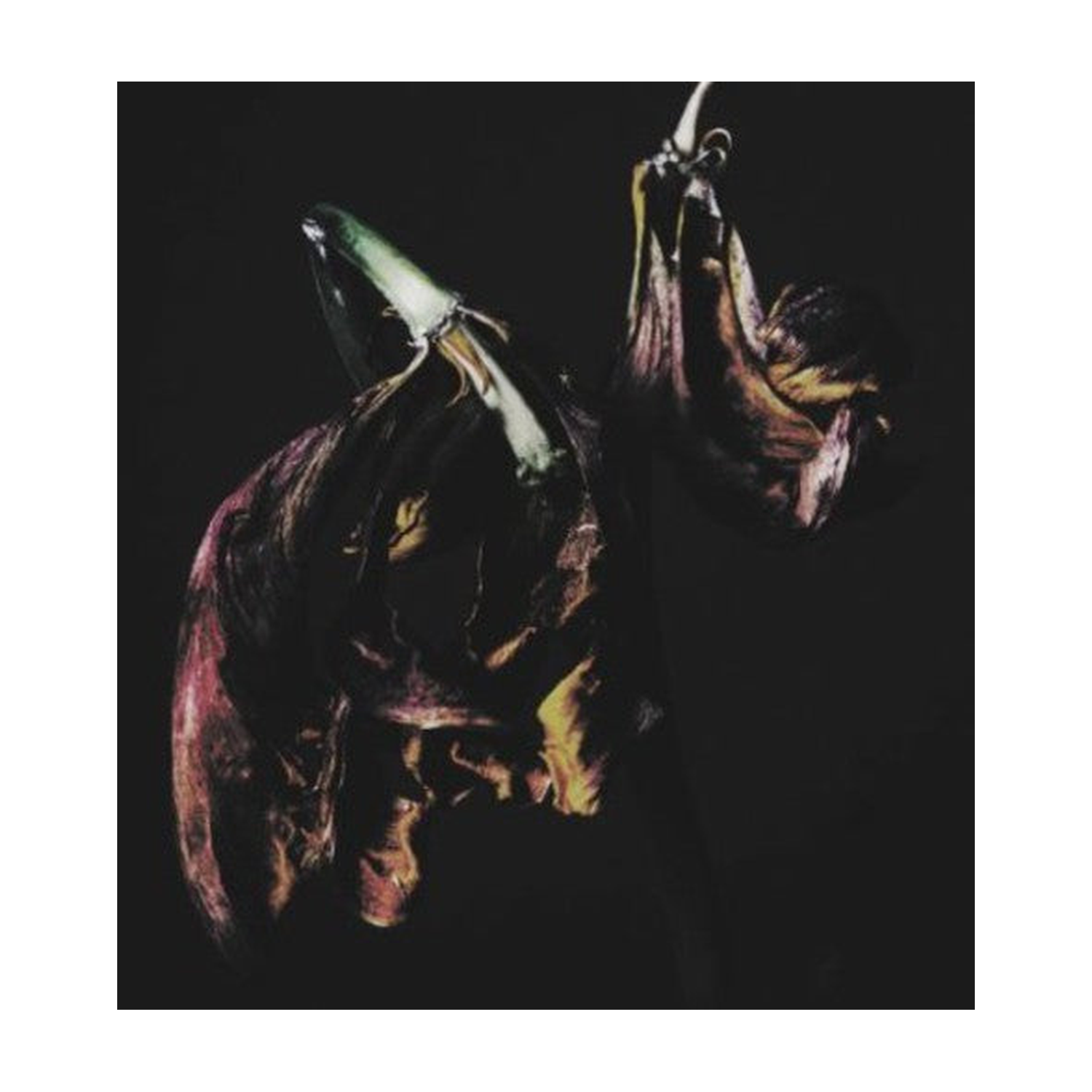 Traams - Grin (CD)