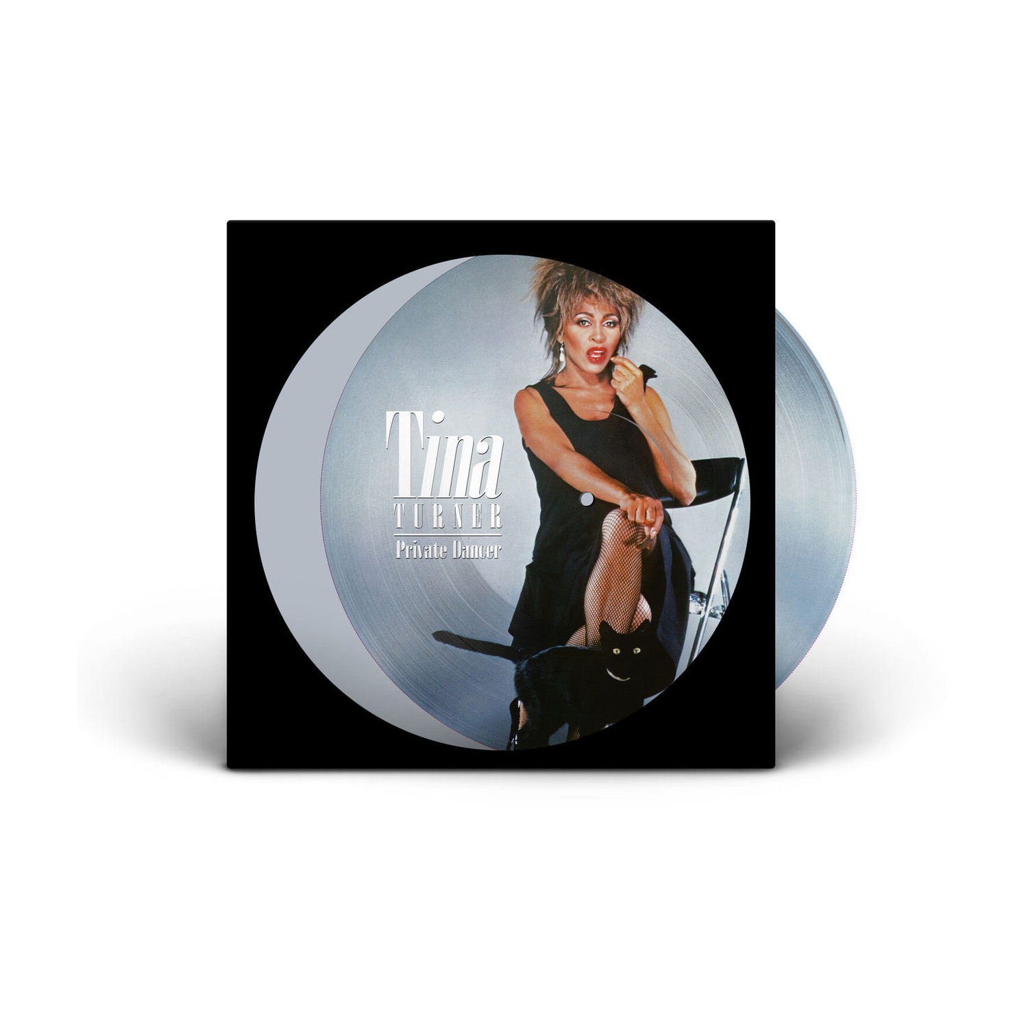 Tina Turner - Private Dancer