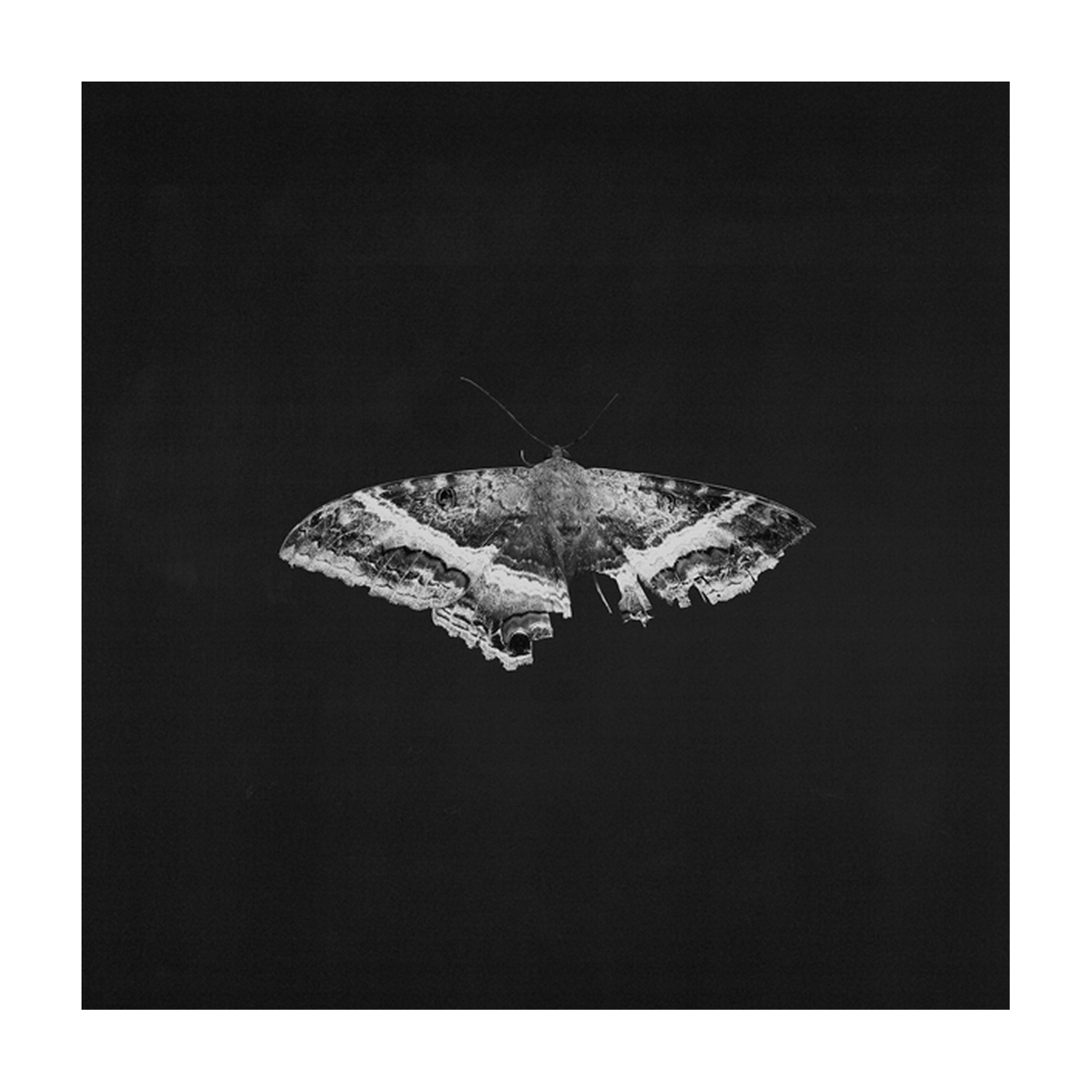 Kendrick Lamar - To Pimp A Butterfly 2xLP (Anniversary Edition)
