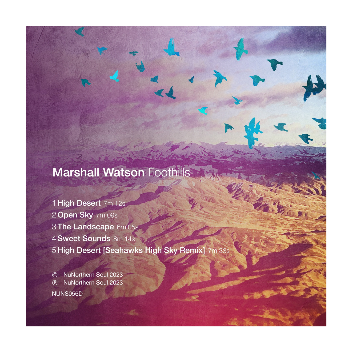 Marshall Watson - Foothills