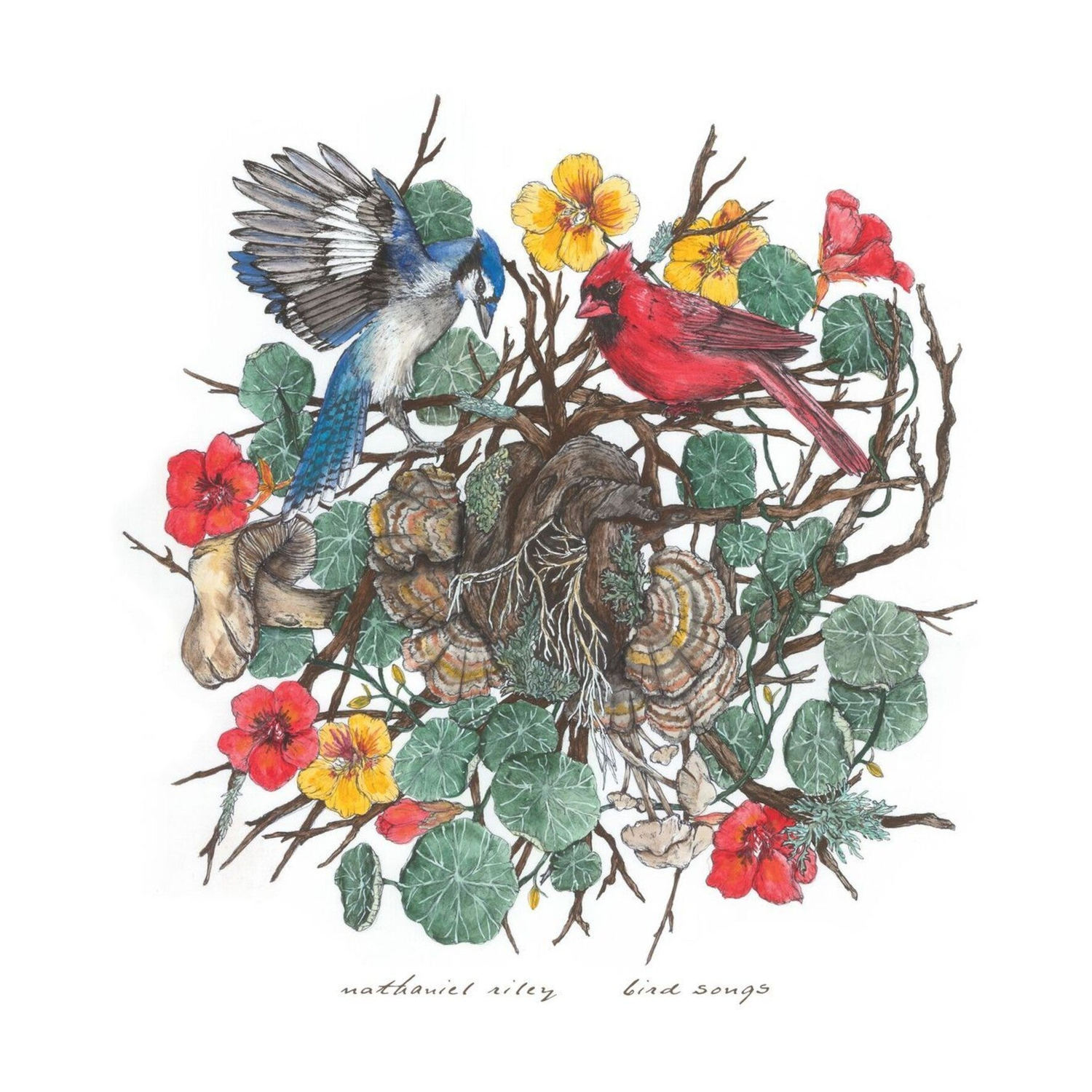 Nathaniel Riley - Bird Songs