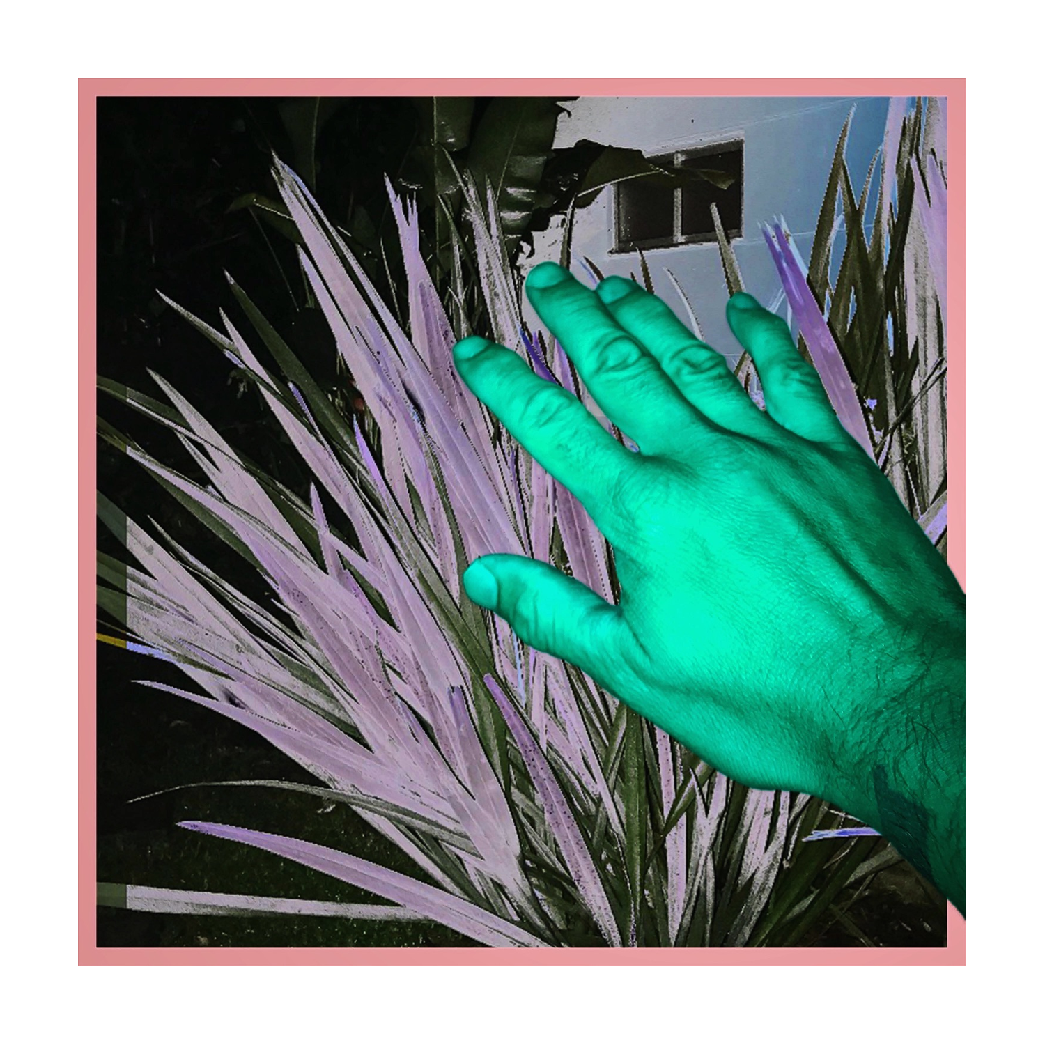 We Are Wolves - La Main De Dieu