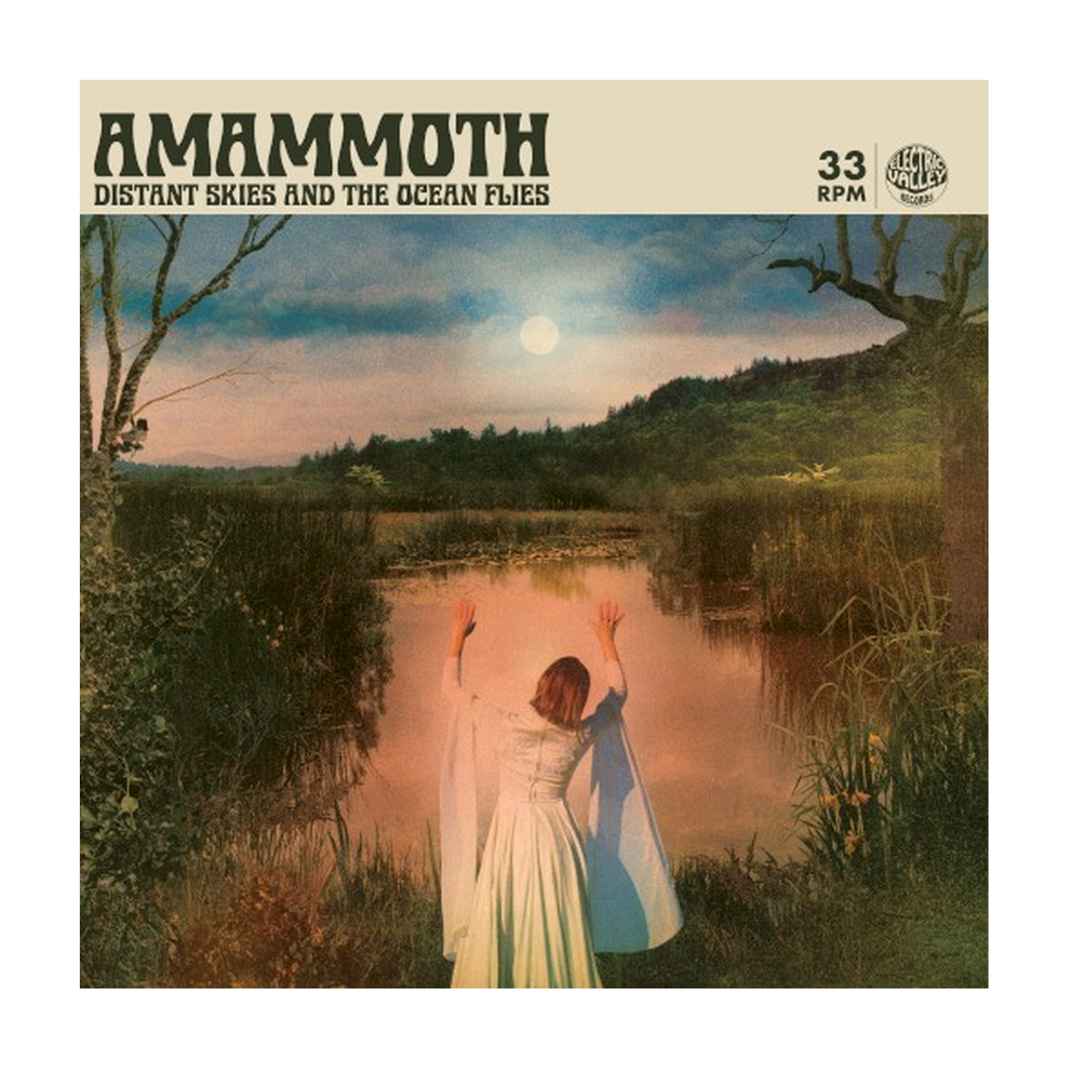 Amammoth - Distant Skies & The Ocean Flies