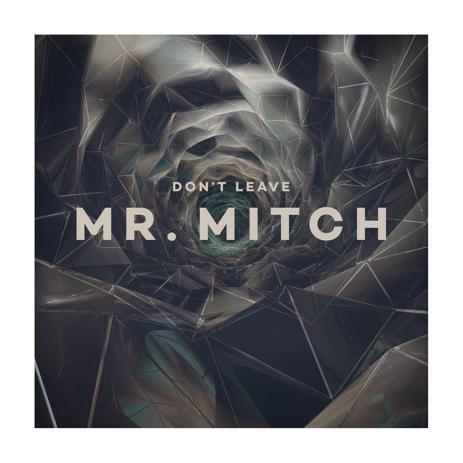 Mr. Mitch - Don't Leave