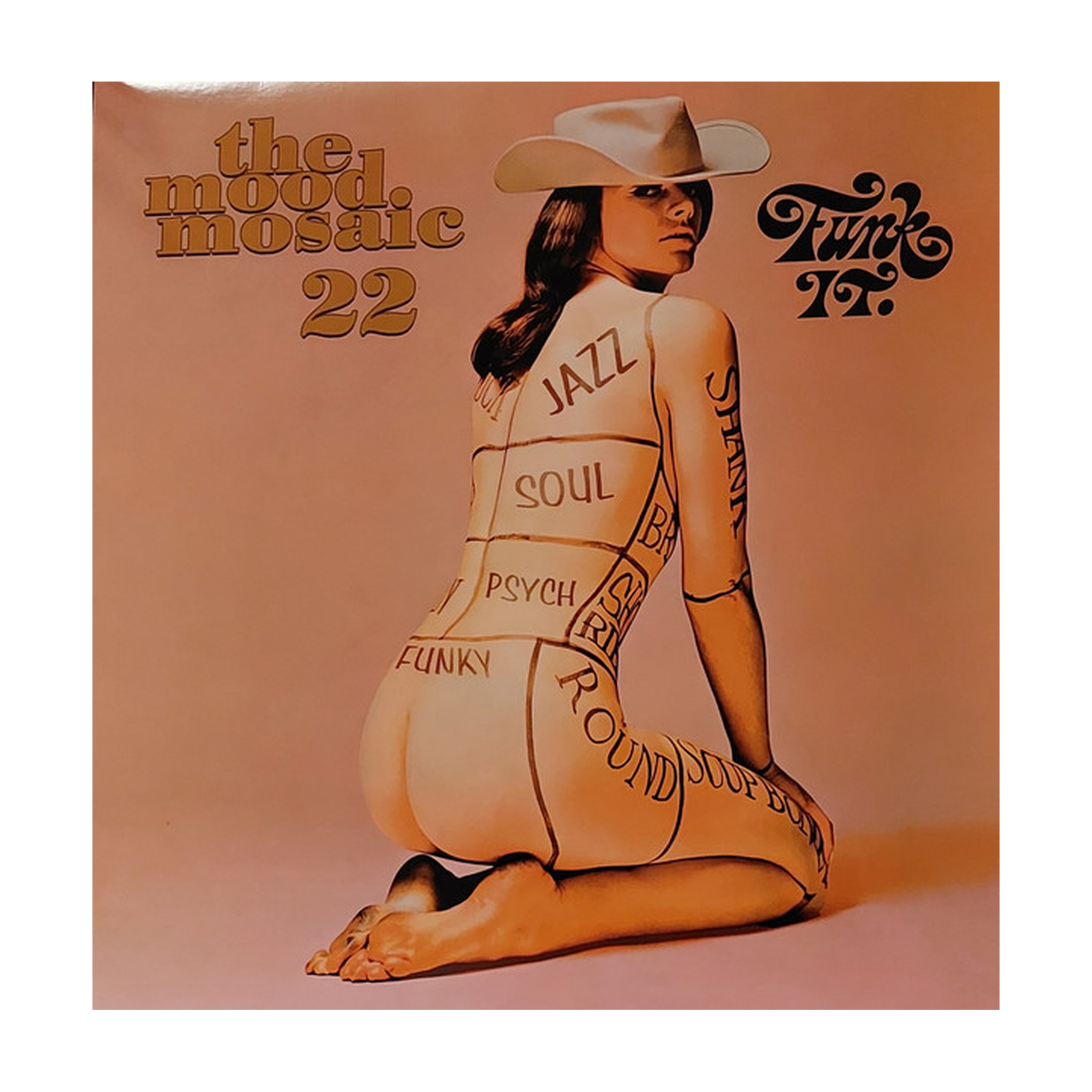 Various Artists - Mood Mosaic 22 2xLP