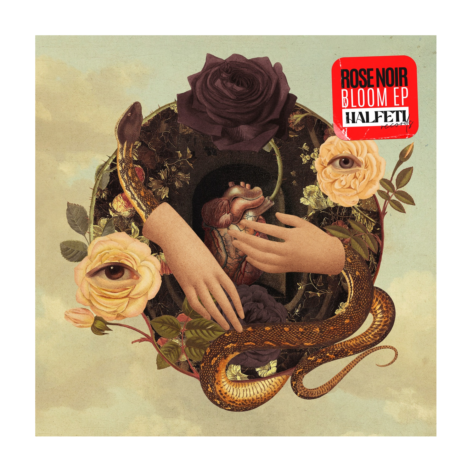 Rose Noir - Bloom