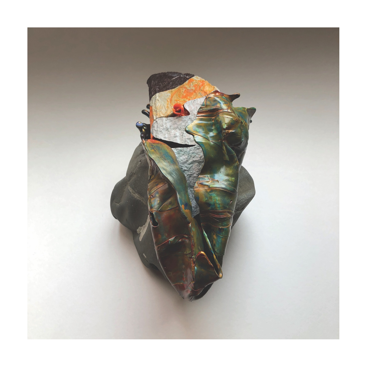 Rrose & Polygonia - Dermatology