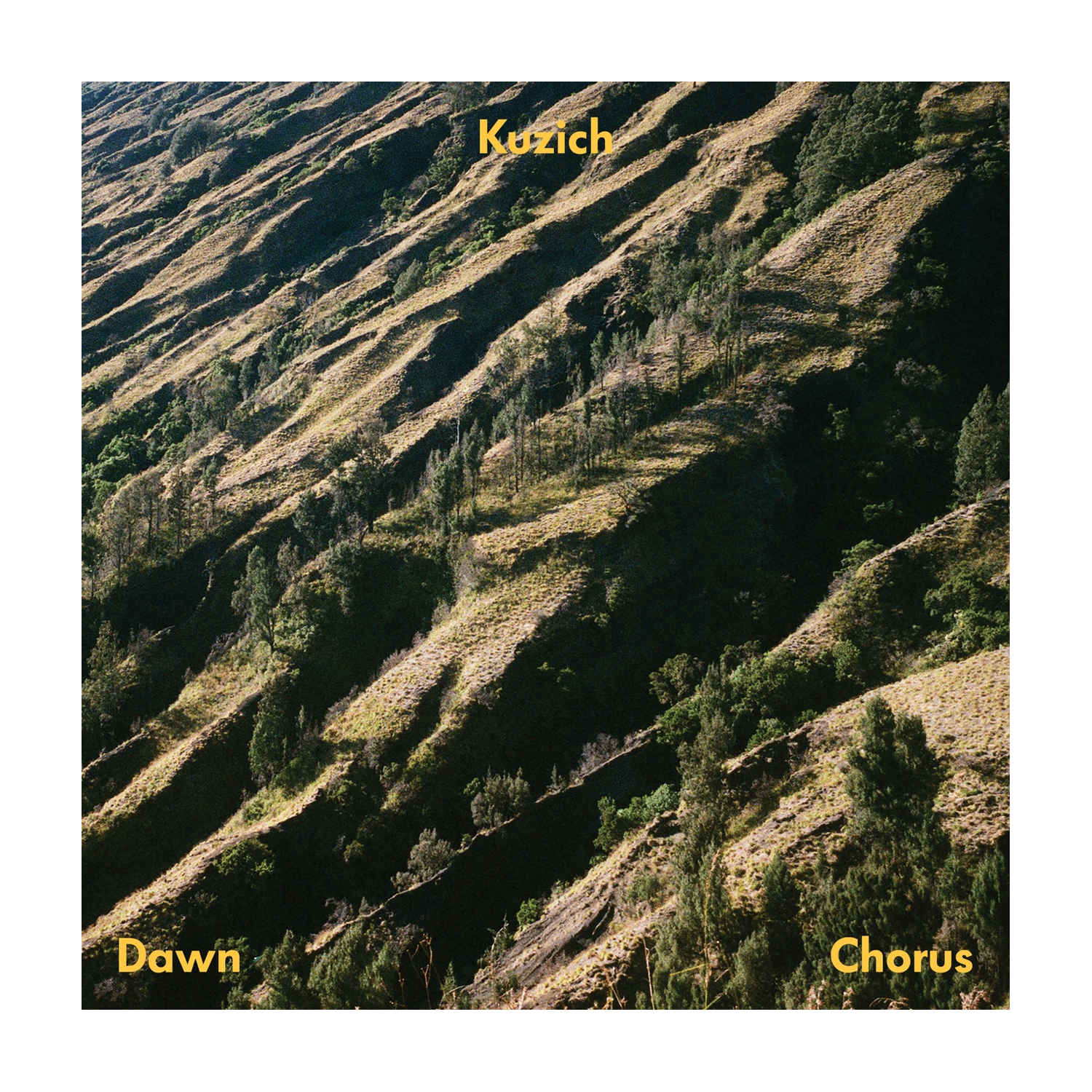 Kuzich - Dawn Chorus