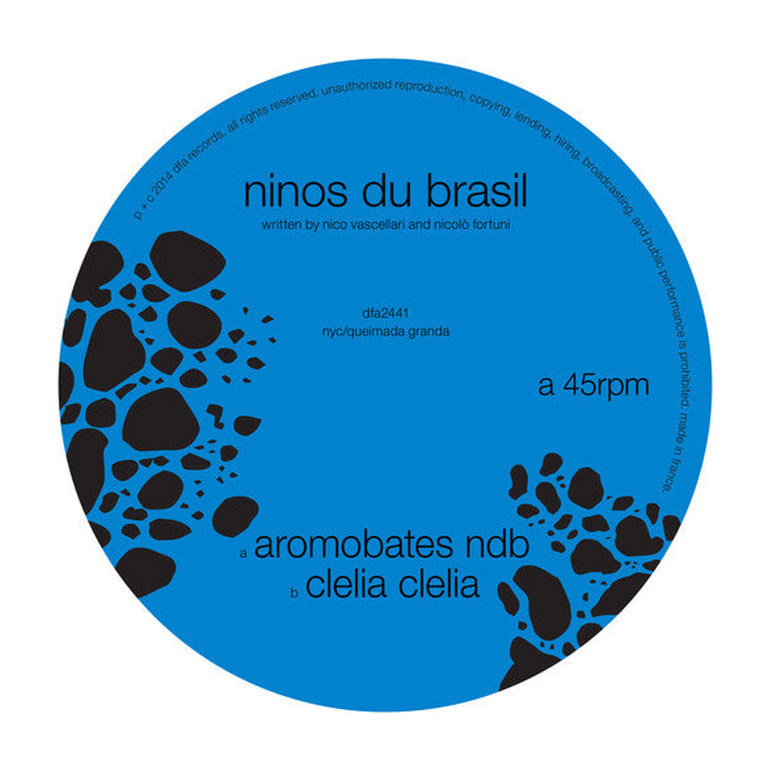 Ninos Du Brazil - Aromobates NBD