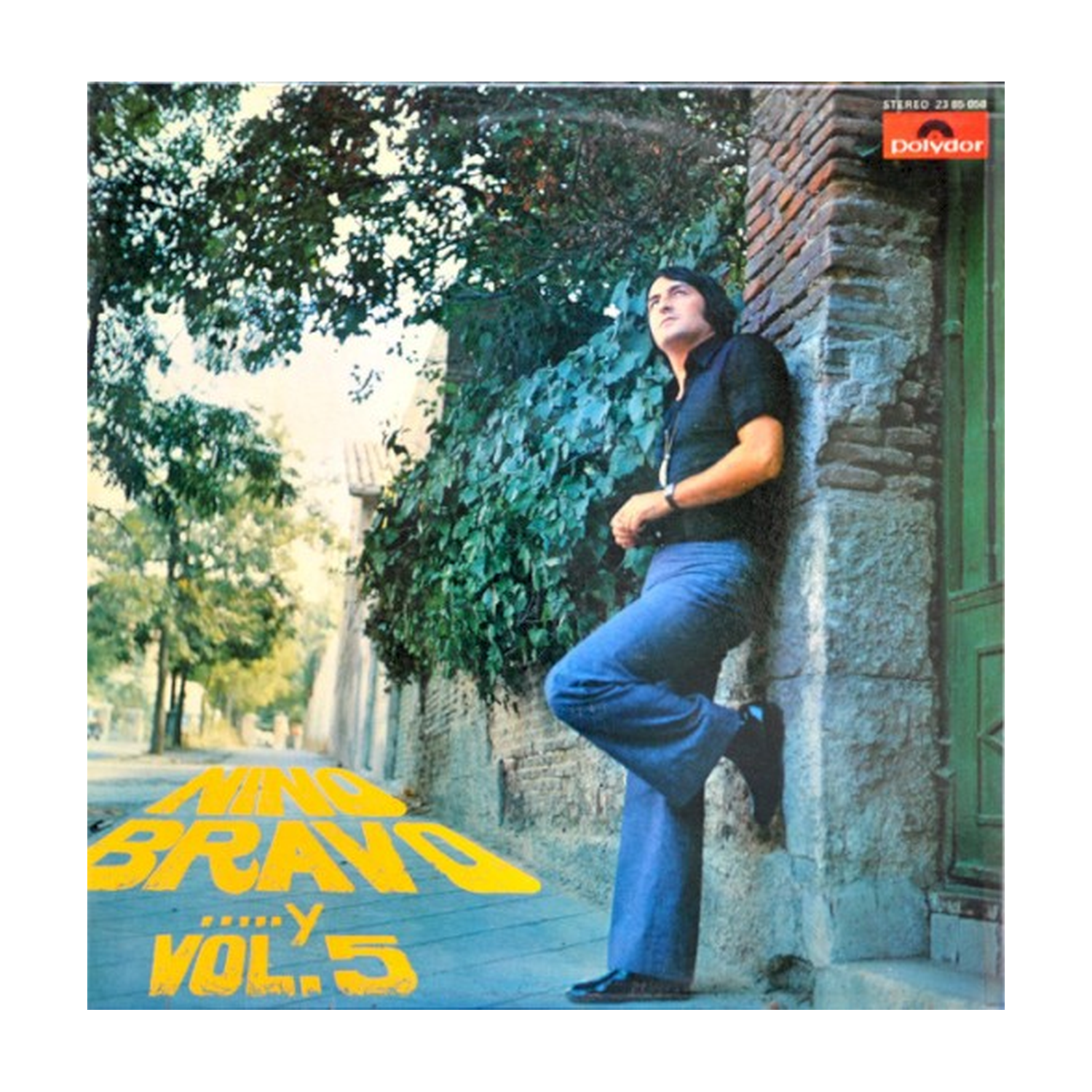 Nino Bravo - ...Y Vol 5